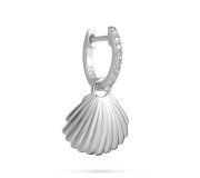 Shells in the sea