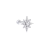 Polar shiny star piercing