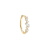 Baguette conch hoop 
