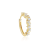 Crystal conch hoop