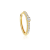Dot conch hoop