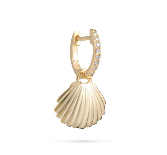Shells in the sea 