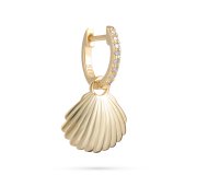 Shells in the sea 