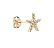 Starfish stud