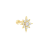 Polar shiny star piercing