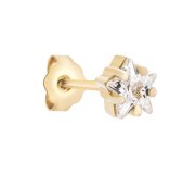 Crystal star stud L